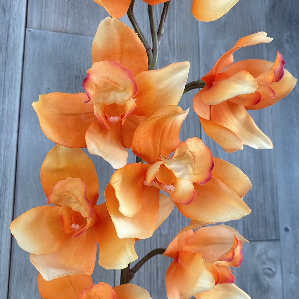 artificial Anna cymbidium close up
