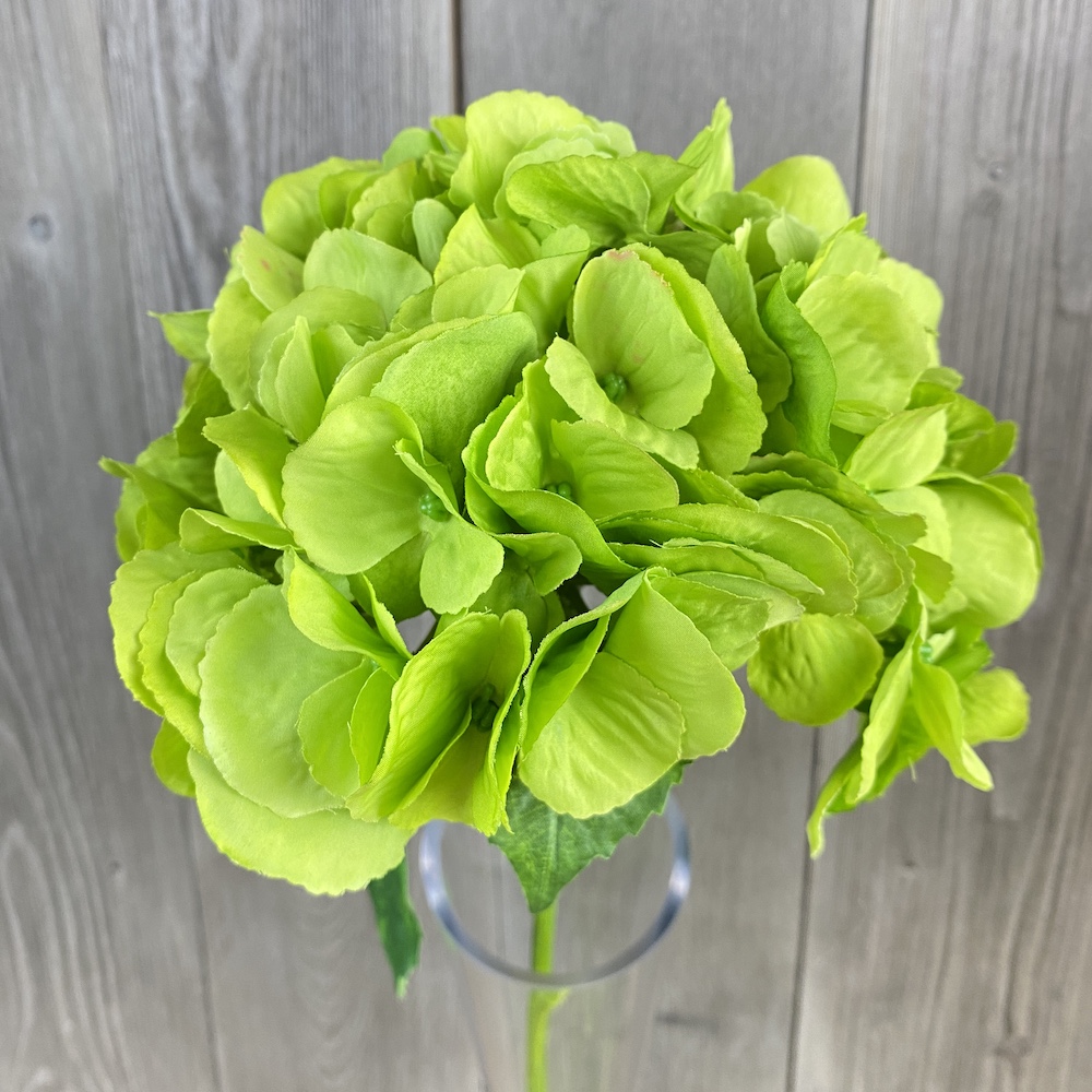 artificial hydrangea green close up