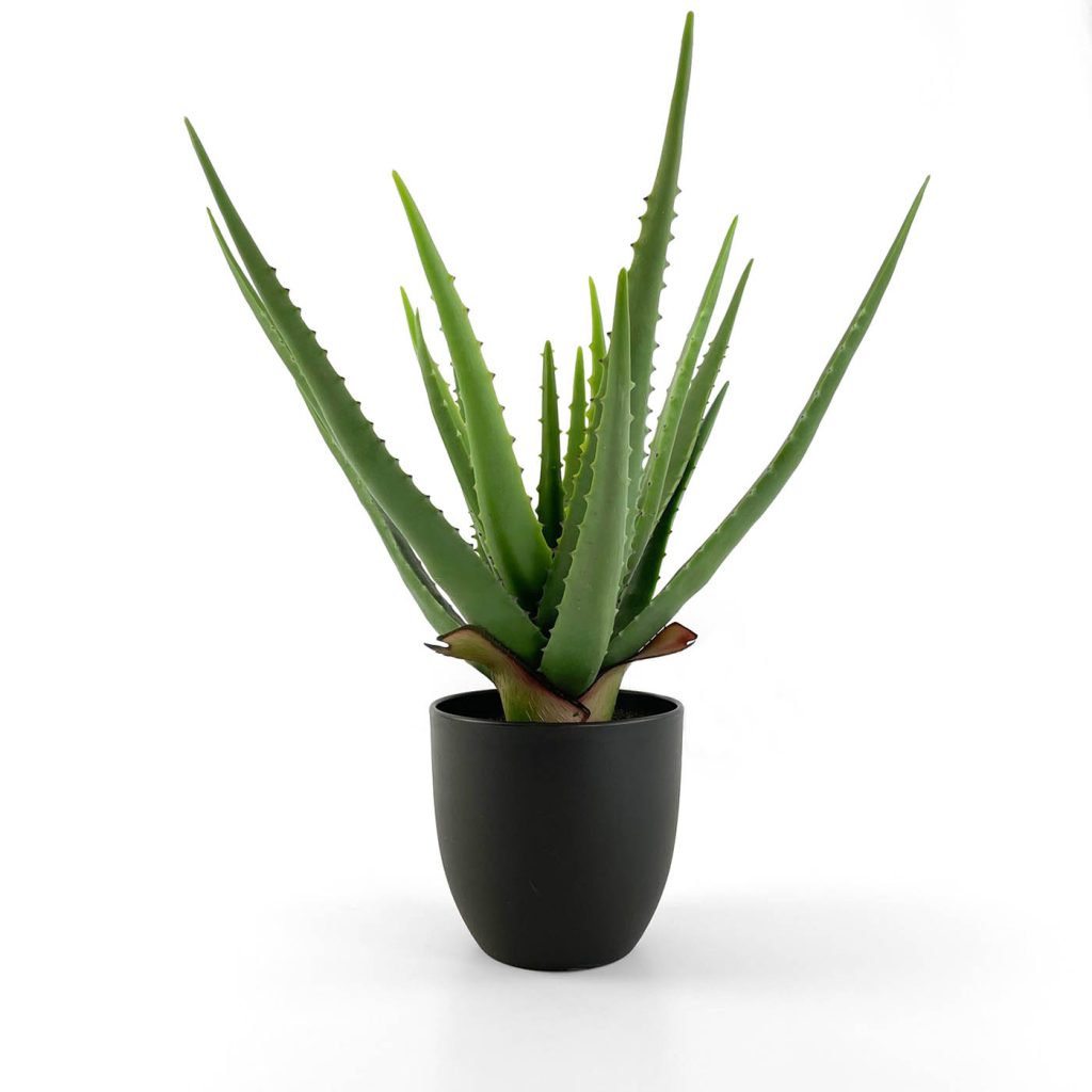 small artificial aloe vera