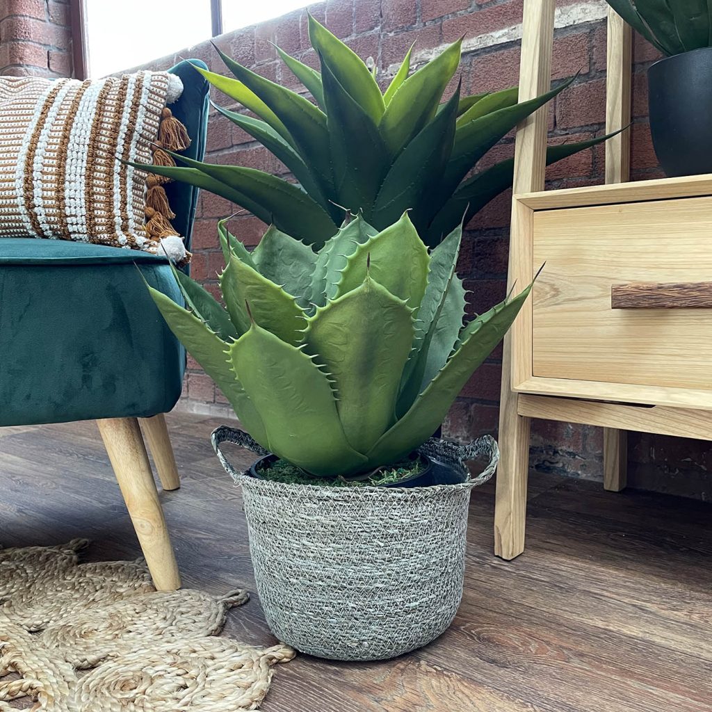 artificial crown orchid plant