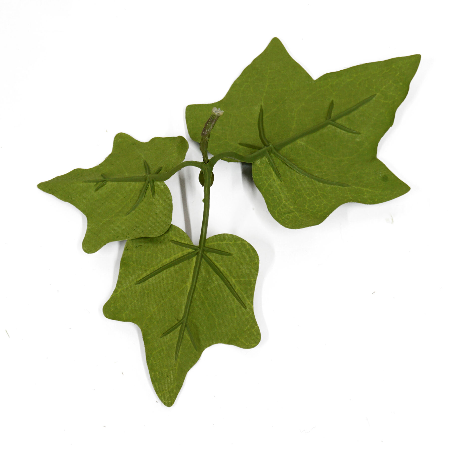 reverse of artificial ivy vine leaf
